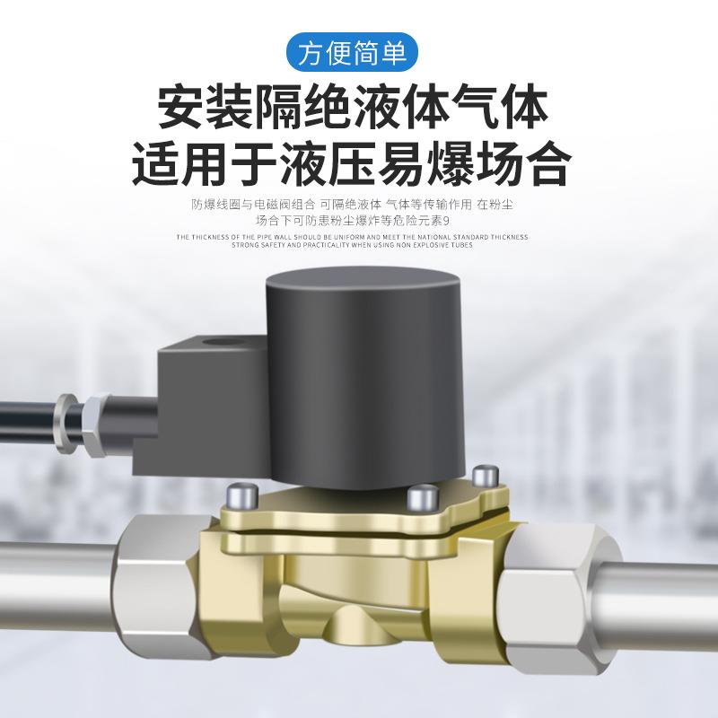 隔爆电磁阀脉冲阀防线圈爆凯9威纳EX09160/020/096/092261/160/09