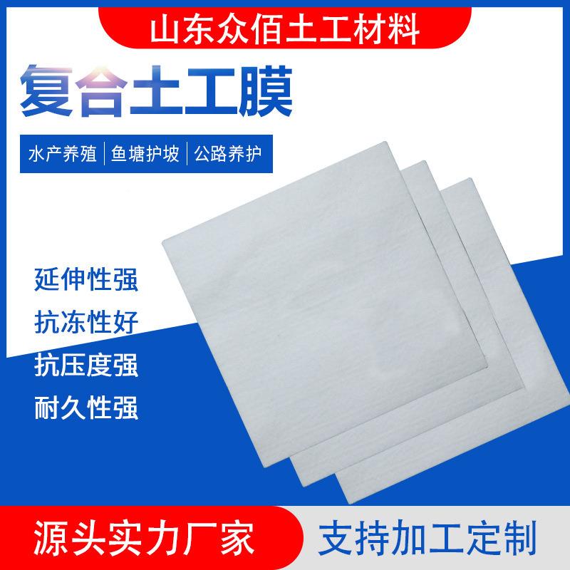 复渗合土工膜人工湖防工两布一膜填IVY垃圾埋场场河道HDPE 复合土