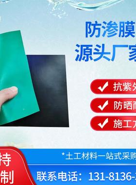 乙烯防渗土工膜鱼塘渗养殖蓄 水池反防渗膜 聚INA黑色hdpe土工膜