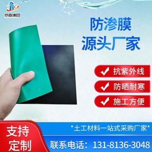 乙烯防渗土工膜鱼塘渗养殖蓄 聚INA黑色hdpe土工膜 水池反防渗膜