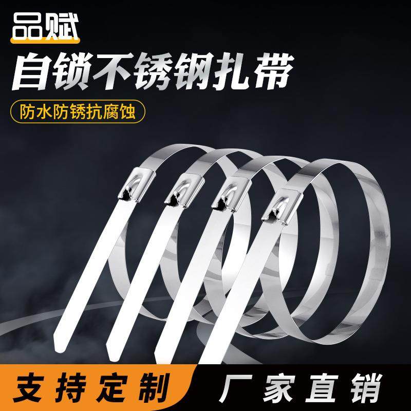 304不锈钢扎带自锁式耐高温4.6mm*300船用电缆固定束线钢带