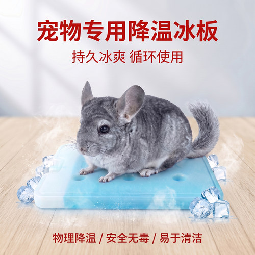 宠物夏季降温冰晶盒可重复用