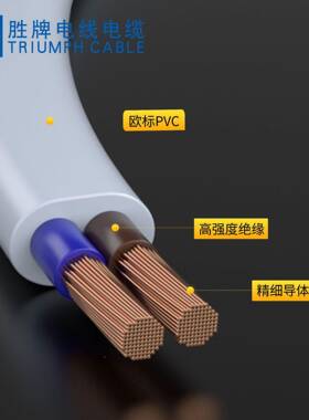 VDE护套软线7022H03VH黑-F扁线RVV2*0.75色两芯V现货直供