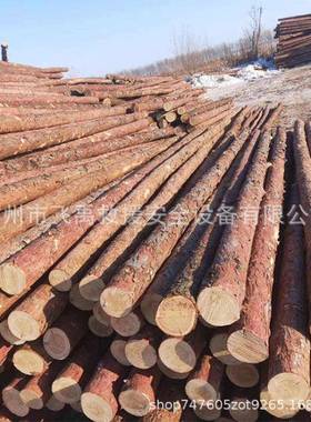 户外驳林岸护GZR岸应急堤桩木河围岸防汛木桩河园绿化杉打木支撑