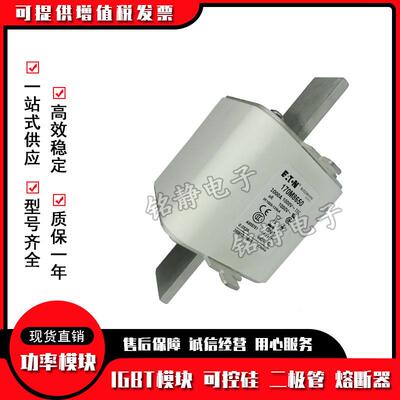 170M86JPF001700M860170M8602M170M8603巴1斯曼熔断器178604