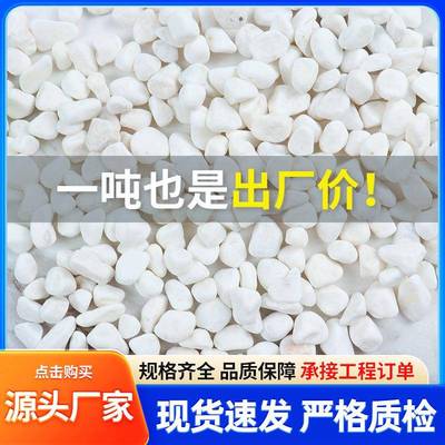?色鹅卵石厂家园盆栽庭院铺路艺小石头碎石LBR林园枯山水造景白白
