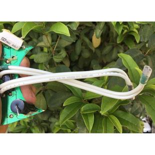 英國猛牌音箱分頻器喇叭線