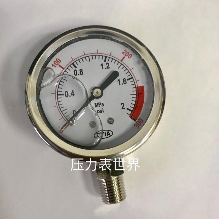 直径62mm 充油压力表 YN-60 2mpa 300psi 螺纹PT1/4 耐震表 ZYIA