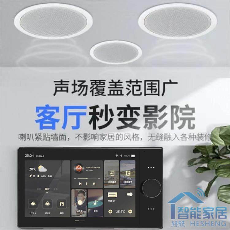 赫兟家庭背景音乐主机系统影音全屋控制器语音吊顶式音响智能家居