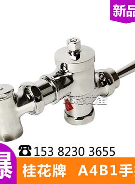 桂花牌冲水阀DN20DN25A1B1手柄卧式大便冲洗阀1寸蹲坑厕所便池6分