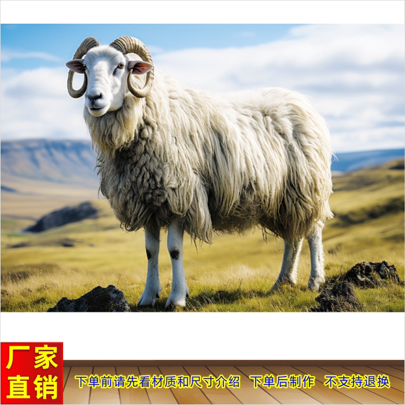 动物图山羊图野生原生态家养山羊绵羊海报壁画客厅走廊装饰画墙贴图片