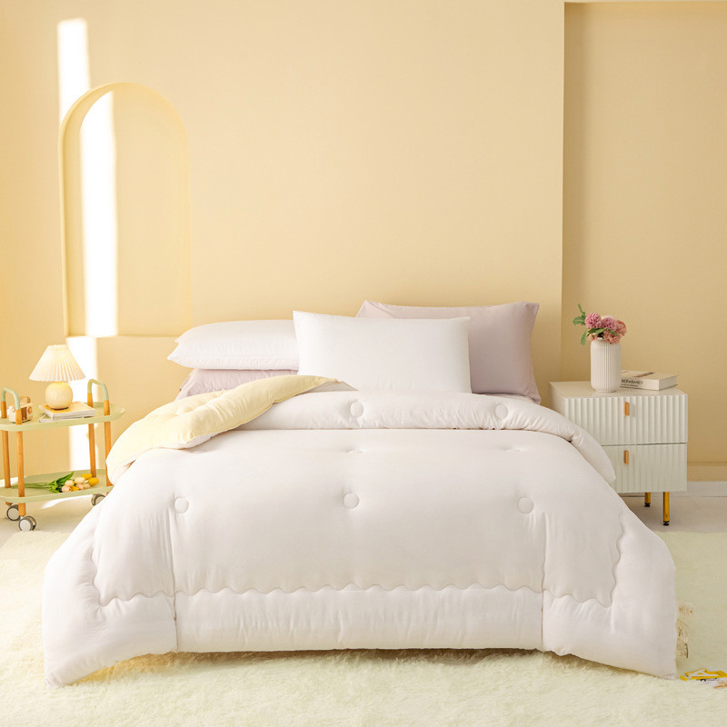 云柔软糯冬季被芯双拼春秋被保暖冬被学生宿舍被子裸睡无压力