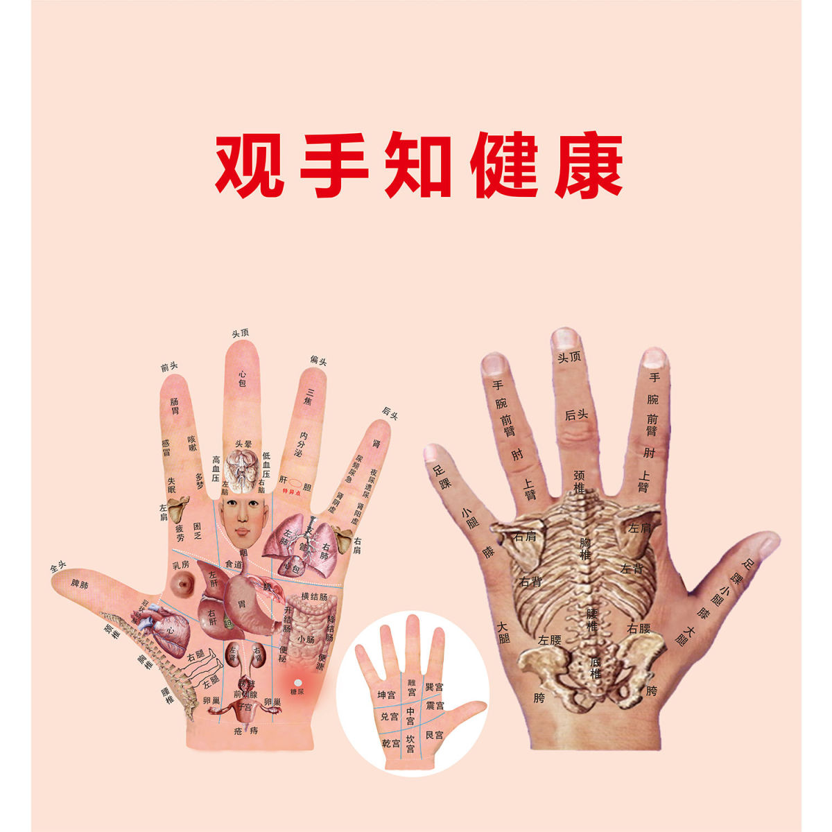 观手知健康海报展板墙贴墙纸装饰画KT板观手知健康