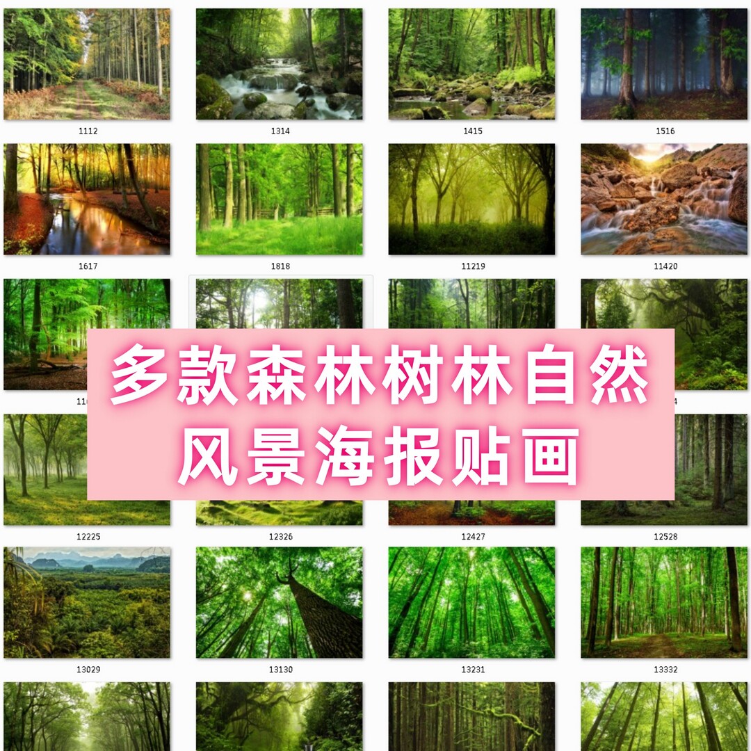 原始阳光树林森林大自然风景装饰画墙画绿色护眼卧室客厅海报贴画图片