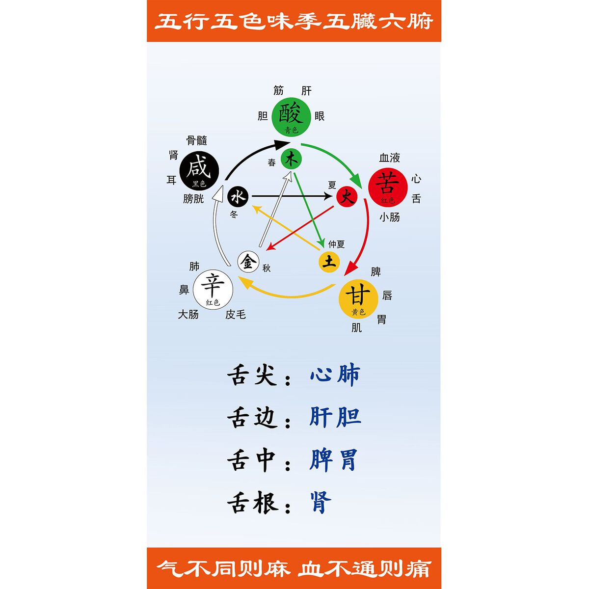 五行五脏五色五味图表海报展板五行五脏养身理论墙贴墙纸装饰画