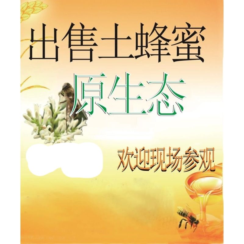 出售土蜂蜜蜂野生蜂蜜糖蜜糖蜂王浆蜂场招牌门头宣传广告海报贴纸
