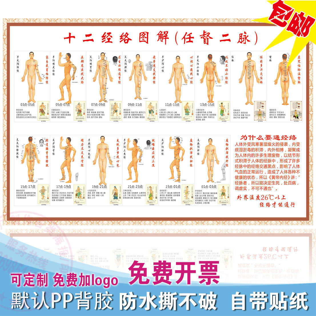 人体十二经络穴位图解任督二脉挂图 中医人体骨骼结构图海报贴纸