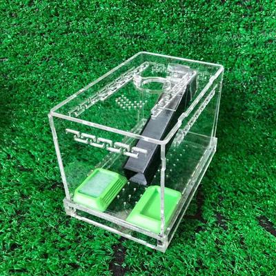 蟋蟀昆虫网笼蟋蟀饲养盒喂食笼具爬宠蟋蟀饲养盒杜比亚活体饲料箱