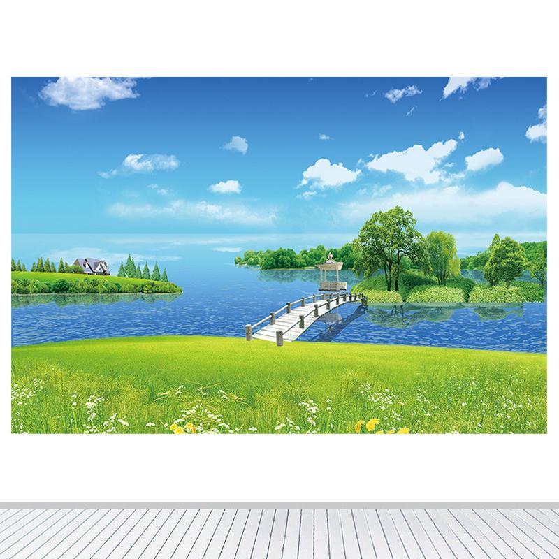 唯美小桥湖泊大树客厅卧室墙贴画壁画自粘蓝天白云绿色草地装饰画图片