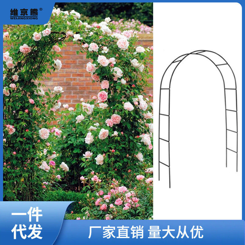 爬藤架花架拱形拱门攀爬绿植物支架杆葡萄架铁线莲架户外庭院