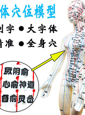 刻字超清晰人体穴位模型双臂可转小人针灸模型中医14经络大字体