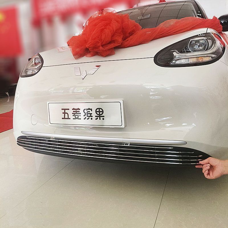 五菱缤果装饰条改装专用金属中网防撞条镀铬条车身防虫网亮条配件