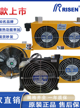 液压风冷却器日森AF1025 AW0607 AH0608液压站油压机风冷式散热器