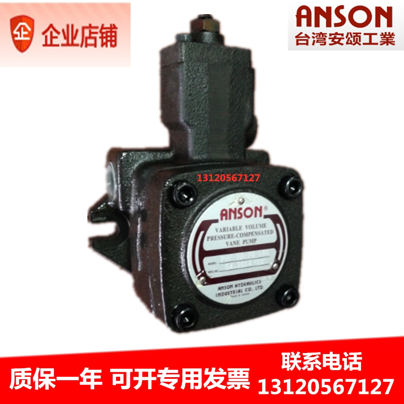 TPF-VL302-G00-10S 安颂ASNON组合泵 TPF- VL301-G00-10S