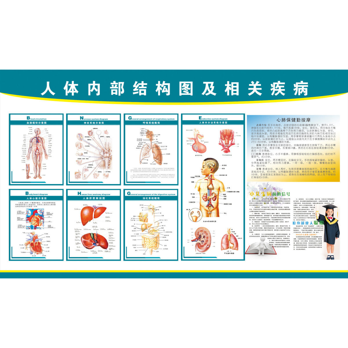 人体内部结构图及相关疾病墙贴纸人体解剖挂图医院宣传海报装饰画