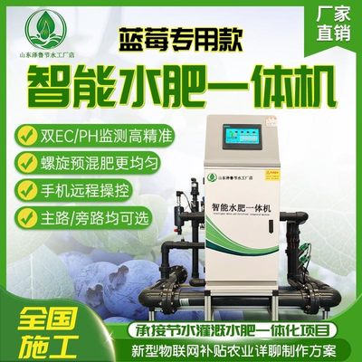 水肥一体机基质蓝莓大棚滴喷灌农业智能4g高精准水肥一体化施肥器
