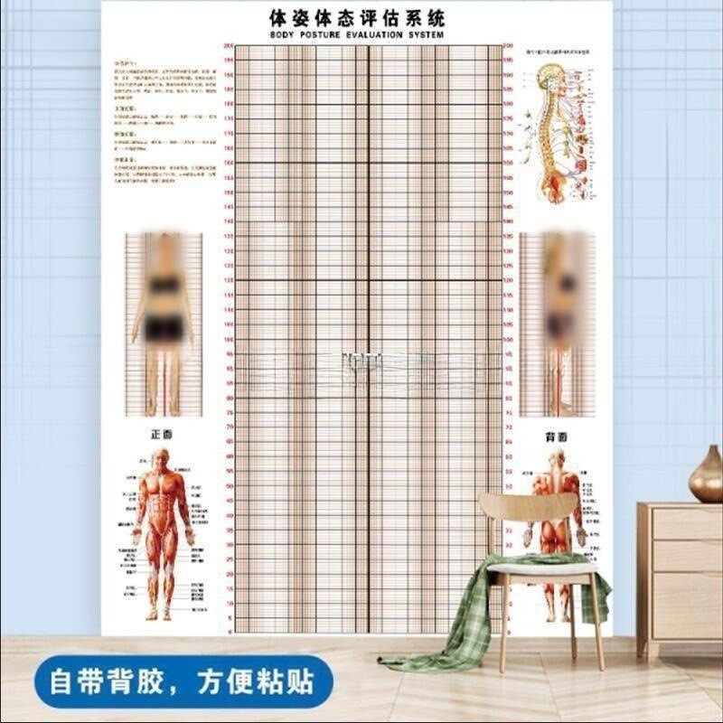 体态评估表墙贴健身房体测网格纸瑜伽馆私教姿势体位体脂图体姿图