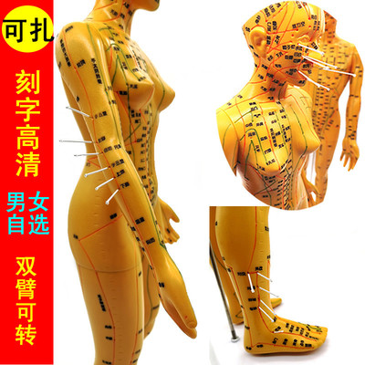 针灸穴位人体模型可扎针练习软质教学小铜人男女全身经络皮人模特