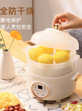 龙的LD-DG1520电炖锅电炖盅煲汤锅炖汤锅煮粥神器燕窝炖盅bb煲