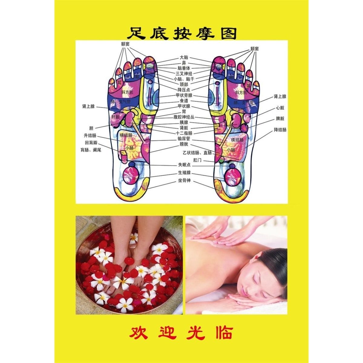 足底按摩图海报展板足浴养生中药足浴养生享受健康生活挂图装饰画