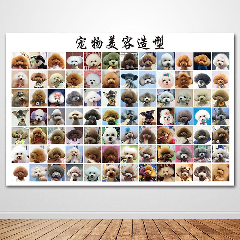 宠物造型图贵宾犬泰迪美容修剪挂画装饰画宠物狗宠物店美容室挂图