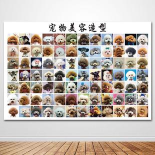 宠物造型图贵宾犬泰迪美容修剪挂画装饰画宠物狗宠物店美容室挂图