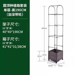 枝晓 番茄花箱黄瓜家庭阳台种植爬藤架 瓜果蔬菜立体爬藤种植套装