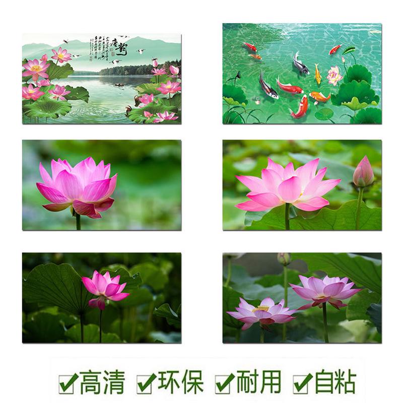 自粘荷花图莲荷叶风景贴画佛堂中堂背景装饰宿舍玻璃门白莲粉荷图片
