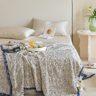 2025大豆小冰柠韩版 纤维被夏被空调被 田园凉感冰丝夏凉被20%新款