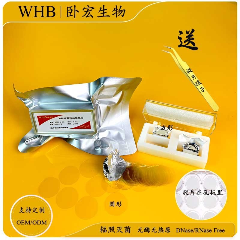 WHB细胞爬片TC处理盖玻片无菌多聚赖氨酸6孔12孔24孔48孔96孔爬片