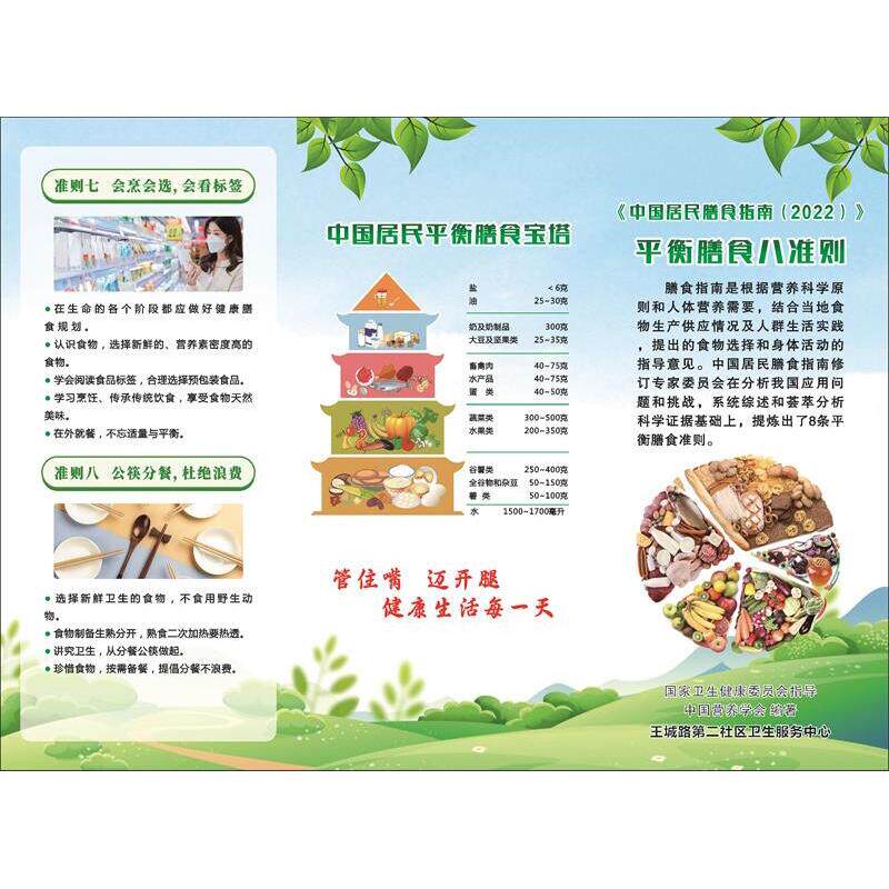 中国居民平衡膳食宝塔 墙贴墙纸 海报 七大营养素 挂图