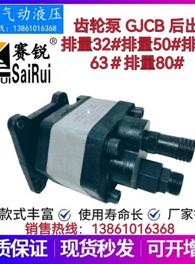 赛锐液压齿轮泵 GJCB 后出排量32#排量50#排量 63＃排量80#