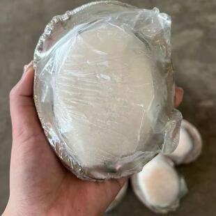 鲜切澳鲍片鲍鱼切片冻澳鲍免洗带壳冻品日料火锅食材酒店宴席商用