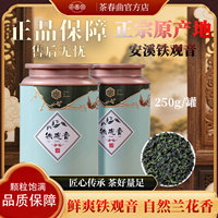 烏龍茶品鑒裝鐵觀音2025新茶濃香