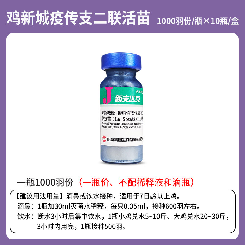 鸡疫苗 新支二联活疫苗 鸡新城疫传染性支气管炎二联活疫苗H120株