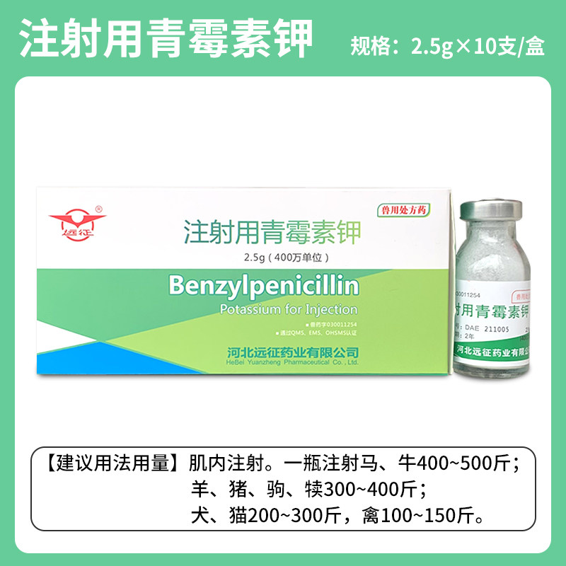 兽药用 抗生素 400万青霉素钾钠 抗菌消炎药破伤风放线杆菌猪丹毒