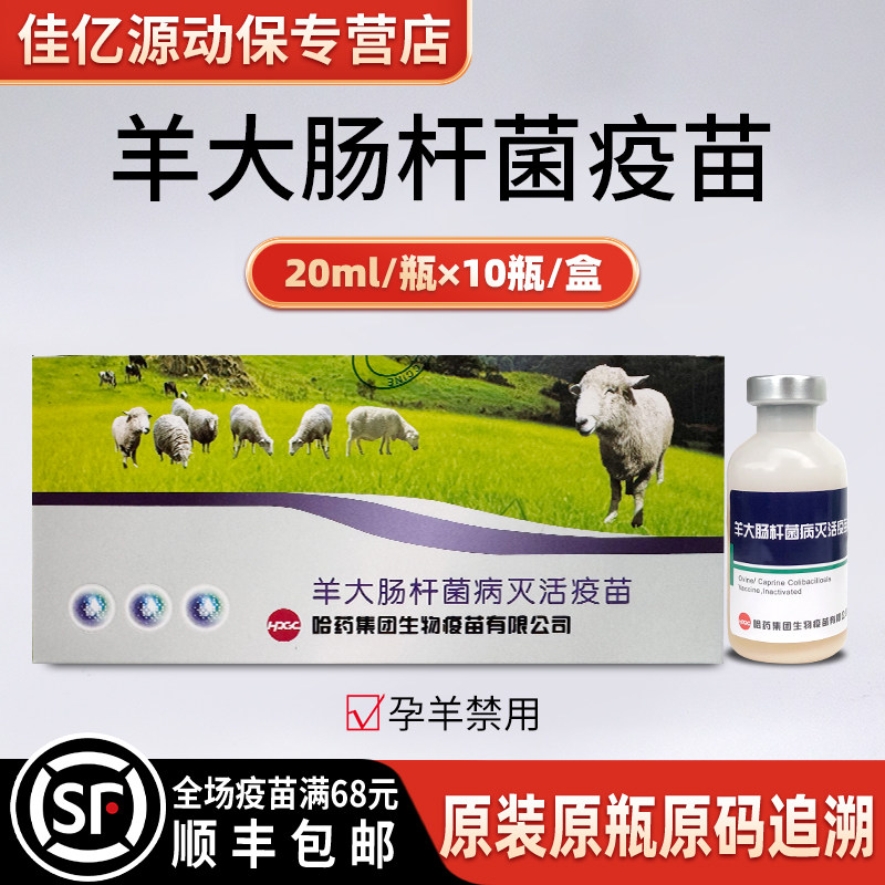 羊大肠杆菌病灭活疫苗