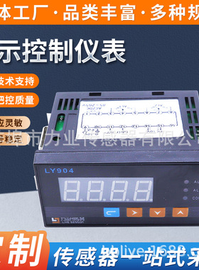 LY904显示控制仪表 压力测力4位led高精度智能数码显示控制仪