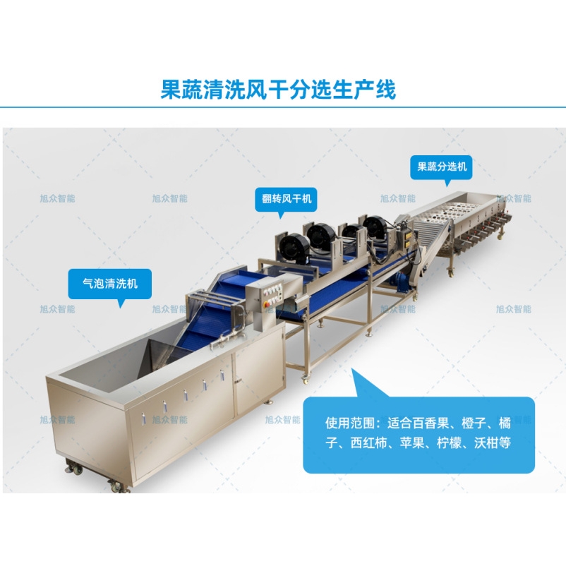 全自动洗果分拣生产线水果清洗分选机 圣女果分选机 脐橙分选机