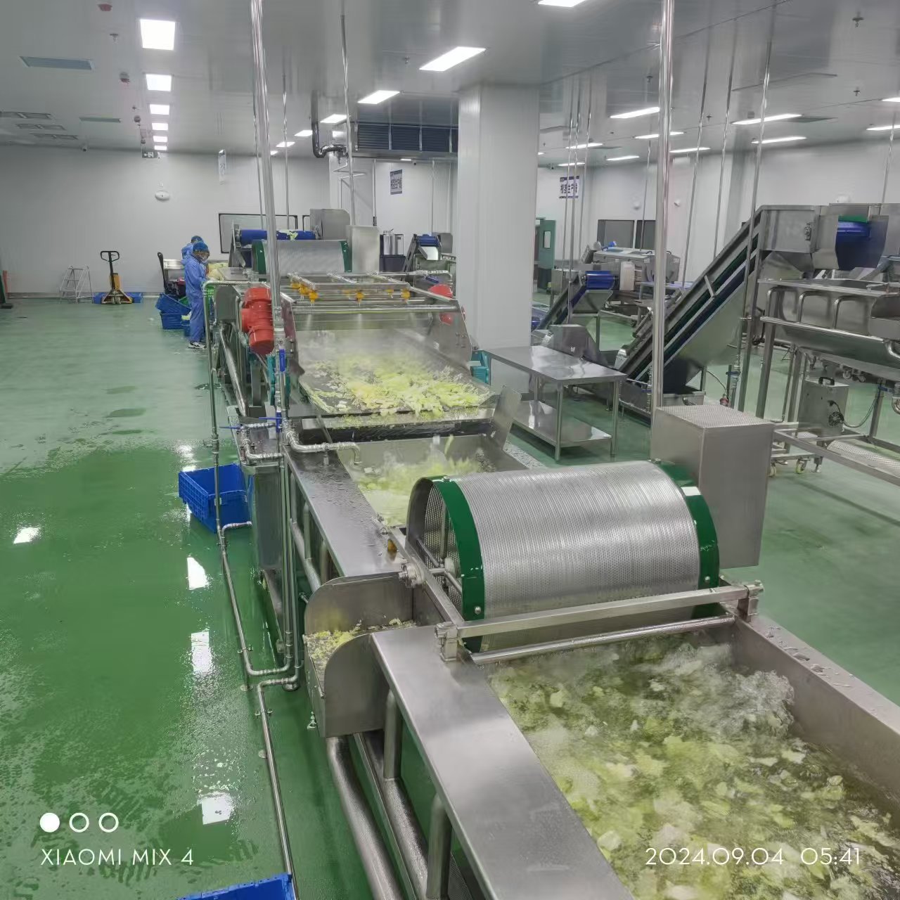 中央厨房全套生产线 净菜加工生产线 白菜清洗机 清水藕清洗机